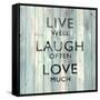 Live Well-Jamie MacDowell-Framed Stretched Canvas