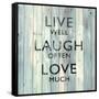 Live Well-Jamie MacDowell-Framed Stretched Canvas