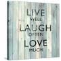 Live Well-Jamie MacDowell-Stretched Canvas