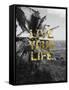 Live Your Life-Sheldon Lewis-Framed Stretched Canvas