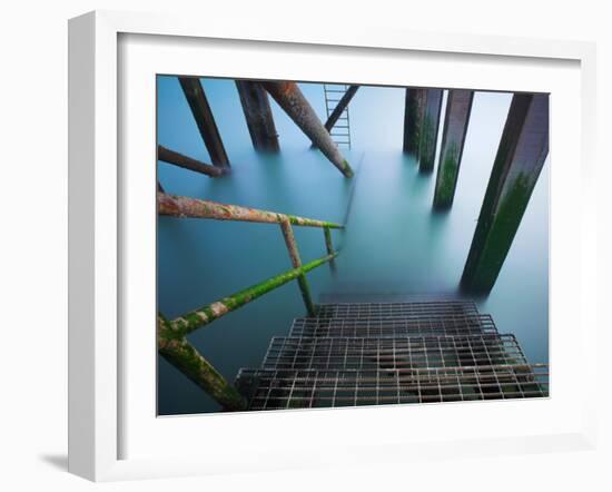 Livebug-David Baker-Framed Photographic Print