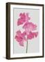 Lively Floral - Harmony-Ben Wood-Framed Giclee Print