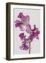 Lively Floral - Lullaby-Ben Wood-Framed Giclee Print