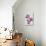 Lively Floral - Lullaby-Ben Wood-Stretched Canvas displayed on a wall