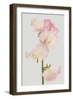 Lively Floral - Melody-Ben Wood-Framed Giclee Print