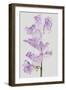 Lively Floral - Unison-Ben Wood-Framed Giclee Print