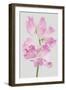 Lively Floral - Unity-Ben Wood-Framed Giclee Print