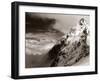 Livepoint-David Baker-Framed Photographic Print