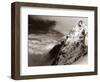 Livepoint-David Baker-Framed Photographic Print