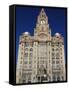 Liver Building, Pierhead, UNESCO World Heritage Site, Liverpool, Merseyside, England, UK, Europe-Rolf Richardson-Framed Stretched Canvas