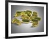 Liver Oil Capsule-null-Framed Art Print