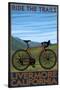 Livermore, California - Mountain Bike Scene-Lantern Press-Stretched Canvas