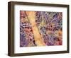 Liverpool England City Street Map-Michael Tompsett-Framed Art Print