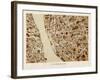 Liverpool England City Street Map-Michael Tompsett-Framed Art Print