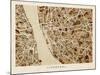 Liverpool England City Street Map-Michael Tompsett-Mounted Art Print