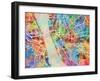 Liverpool England City Street Map-Michael Tompsett-Framed Art Print