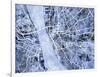 Liverpool England City Street Map-Michael Tompsett-Framed Art Print