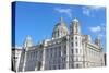 Liverpool, Uk-Tupungato-Stretched Canvas