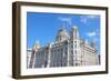 Liverpool, Uk-Tupungato-Framed Photographic Print