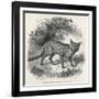 Lives in the Savannahs of Africa-John Singer Sargent-Framed Art Print