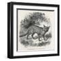 Lives in the Savannahs of Africa-John Singer Sargent-Framed Art Print