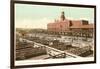 Livestock Exchange, Kansas City, Missouri-null-Framed Art Print