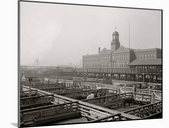 Livestock Exchange, Kansas City, Mo.-null-Mounted Photo