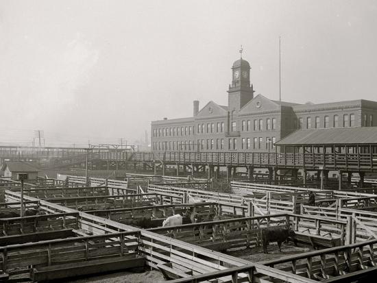Photo, , large