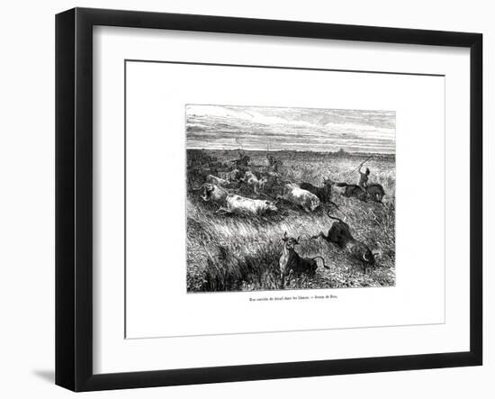 Livestock, Los Llanos, Venezuela, 19th Century-Edouard Riou-Framed Giclee Print