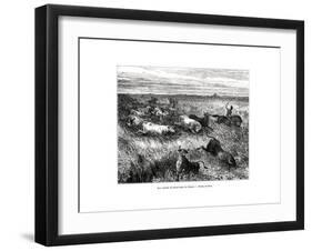 Livestock, Los Llanos, Venezuela, 19th Century-Edouard Riou-Framed Giclee Print