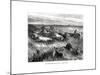 Livestock, Los Llanos, Venezuela, 19th Century-Edouard Riou-Mounted Giclee Print