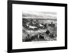 Livestock, Los Llanos, Venezuela, 19th Century-Edouard Riou-Framed Giclee Print