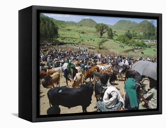 Livestock Market, Sentebe, Abyssinian Region of Choa, Ethiopia, Africa-J P De Manne-Framed Stretched Canvas