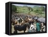 Livestock Market, Sentebe, Abyssinian Region of Choa, Ethiopia, Africa-J P De Manne-Framed Stretched Canvas