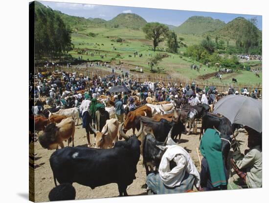 Livestock Market, Sentebe, Abyssinian Region of Choa, Ethiopia, Africa-J P De Manne-Stretched Canvas