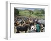 Livestock Market, Sentebe, Abyssinian Region of Choa, Ethiopia, Africa-J P De Manne-Framed Photographic Print