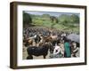 Livestock Market, Sentebe, Abyssinian Region of Choa, Ethiopia, Africa-J P De Manne-Framed Photographic Print