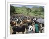 Livestock Market, Sentebe, Abyssinian Region of Choa, Ethiopia, Africa-J P De Manne-Framed Photographic Print