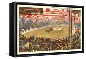 Livestock Show, Kansas City, Missouri-null-Framed Stretched Canvas