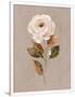 Gramercy White