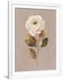 Gramercy White