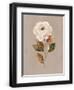 Chelsea Black
