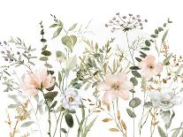 Botanical Sketchbook-Livi & Finn-Art Print