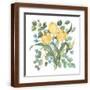 Brown Frame