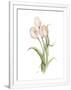 Gramercy White