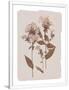 Gramercy White