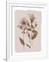 Gramercy White