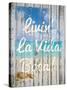 Livin La Vida Boca-Tina Lavoie-Stretched Canvas