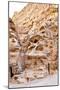 Living Ancient Cavern and Steps in Little Petra-vvoevale-Mounted Photographic Print