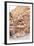 Living Ancient Cavern and Steps in Little Petra-vvoevale-Framed Photographic Print